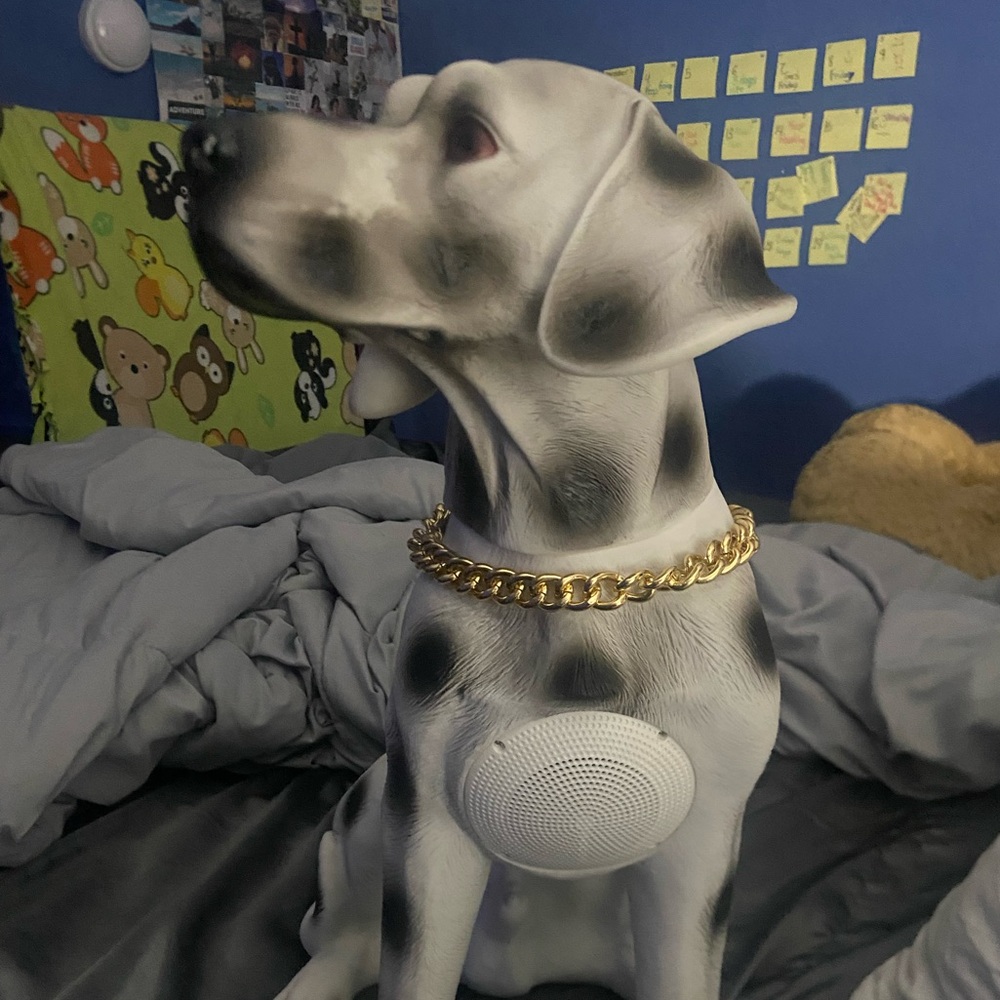 Dog speaker